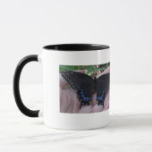 Black Swallowtail Caterstyle/Butterfly mok (Links)