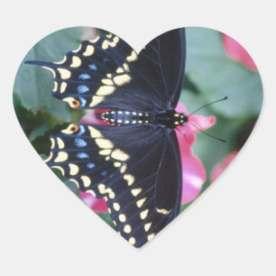 Black Swallowtail Hart Sticker