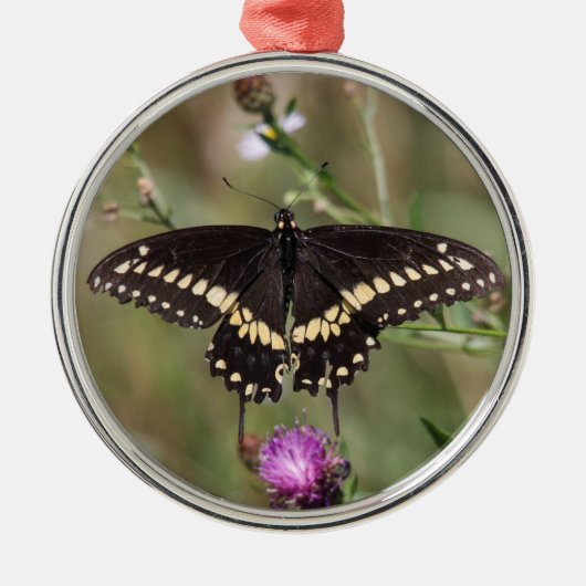 Black Swallowtail Metalen Ornament (Voorkant)