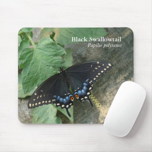 Black Swallowtail Mousepad Muismat (Met muis)