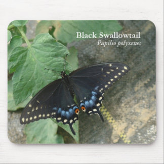Black Swallowtail Mousepad Muismat
