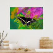 Black Swallowtail op gouden staaf Poster (Keuken)