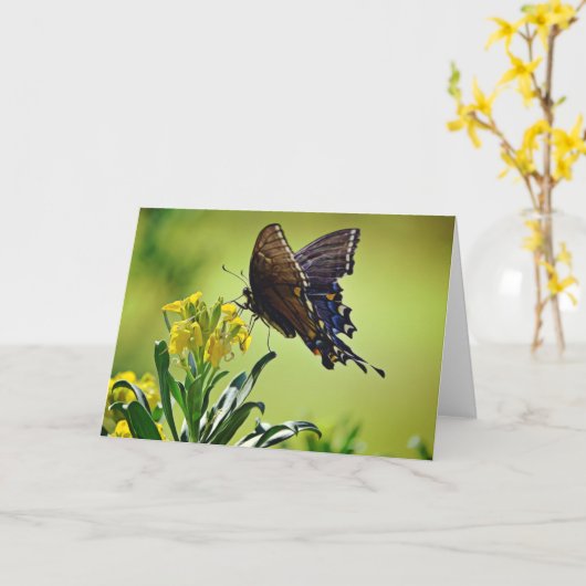 Black Swallowtail Scripture Kaart Psalm 119:103 (Gele Bloem)