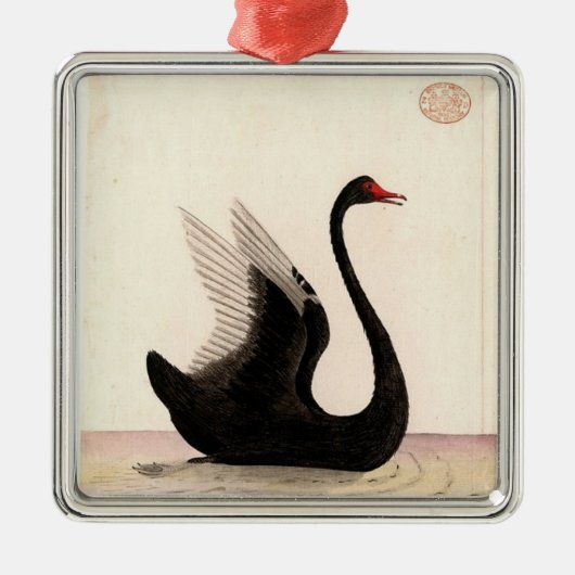 BLACK SWAN ART ORNAMENT (Voorkant)