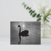 Black Swan - Australian Native Animal Briefkaart (Staand voorkant)
