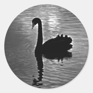 Black Swan - Australian Native Animal Ronde Sticker