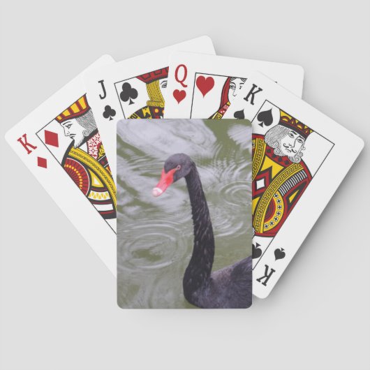 Black Swan Bicycle® Poker Plays Speelkaarten (Achterkant)