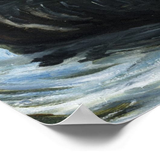 "Black Swan" Bird Art Print (Hoek)