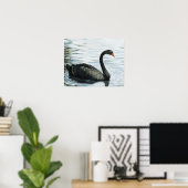 "Black Swan" Bird Art Print (Thuiskantoor)