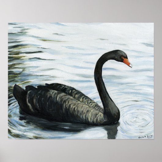 "Black Swan" Bird Art Print (Voorkant)