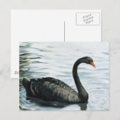 "Black Swan" Bird Art Reproduction Briefkaart (Voorkant / Achterkant)
