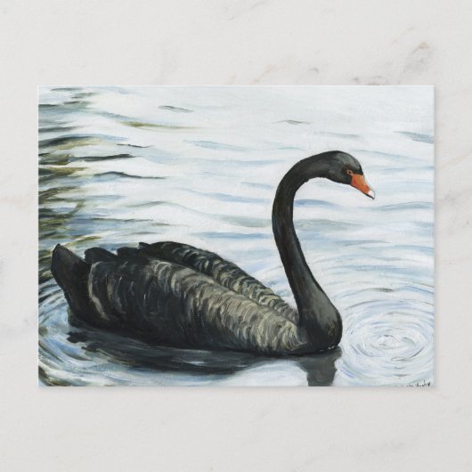 "Black Swan" Bird Art Reproduction Briefkaart (Voorkant)