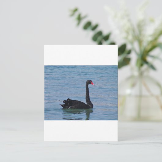 Black Swan Briefkaart (Staand voorkant)