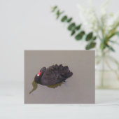 Black Swan Briefkaart (Staand voorkant)