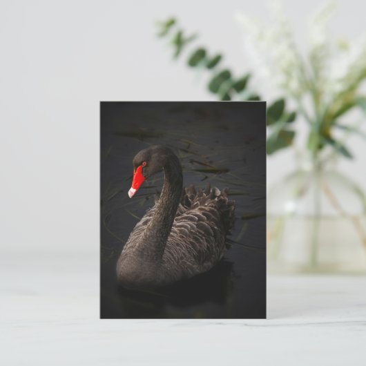 Black Swan Briefkaart (Staand voorkant)