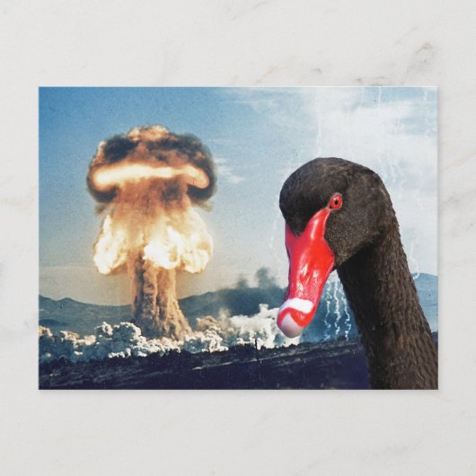 Black Swan Disaster Briefkaart (Voorkant)