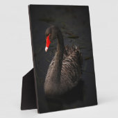 Black Swan Fotoplaat (Zijkant)