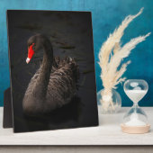 Black Swan Fotoplaat (Zijkant)