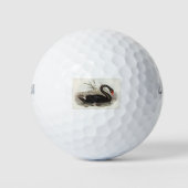 Black Swan Golfballen (Voorkant)