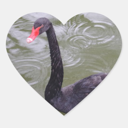 Black Swan Heart Sticker (Voorkant)