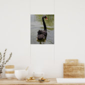 Black Swan in Tranquil Pond Poster (Keuken)