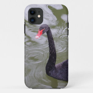Black Swan iPhone 5/5S, alleen daar 11 Hoesje