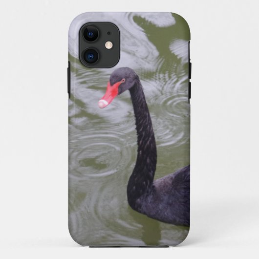 Black Swan iPhone 5/5S, alleen daar Case-Mate iPhone Case (Achterkant)