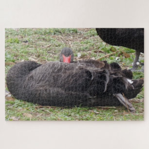 Black Swan Jigzaag Puzzle Legpuzzel