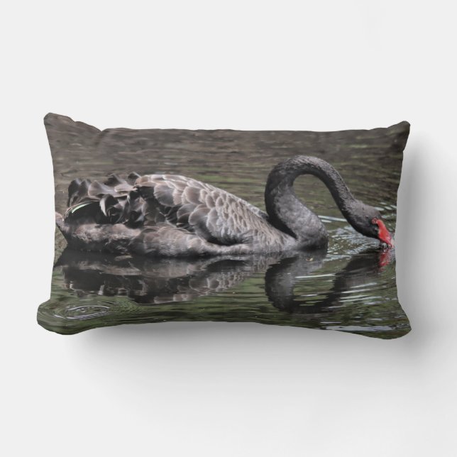 Black Swan Kussen (Voorkant)