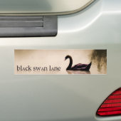 Black Swan Lane Bumpersticker (Op auto)