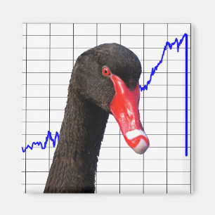 Black Swan Market Crash Magneet