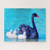 Black Swan met haar baby's, Jigzaag Puzzle Legpuzzel (Horizontaal)