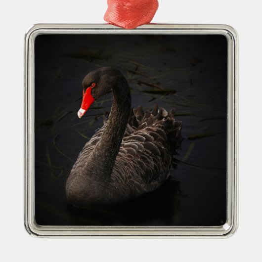 Black Swan Metalen Ornament (Voorkant)