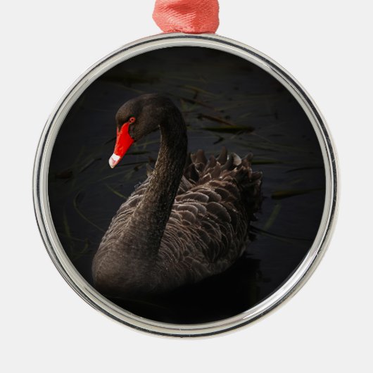 Black Swan Metalen Ornament (Voorkant)