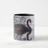 Black Swan Mok (Midden)