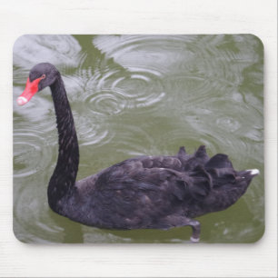 Black Swan Mousepad Muismat
