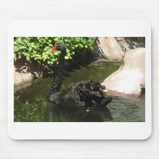 Black Swan Muismat (Voorkant)