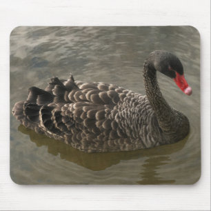 Black Swan Muismat
