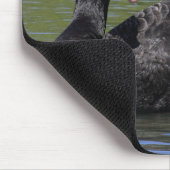Black Swan Muismat (Hoek)