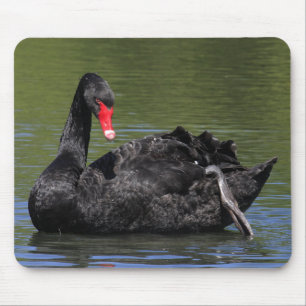 Black Swan Muismat