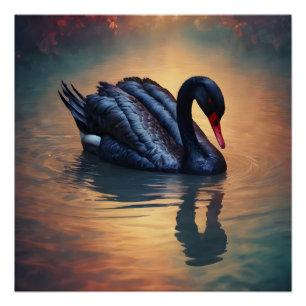 Black Swan no 4 Glanzend Poster