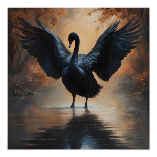 Black Swan no 6 Glanzend Poster (Voorkant)