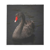 Black Swan Notitieblok (Voorkant)