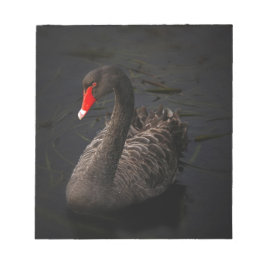 Black Swan Notitieblok