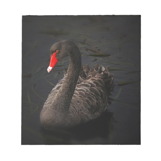Black Swan Notitieblok (Voorkant)