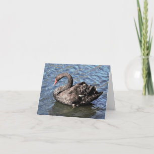 Black Swan Photo Folded Note Kaart
