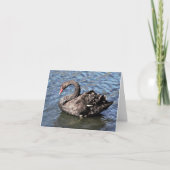 Black Swan Photo Folded Note Kaart (Voorkant)
