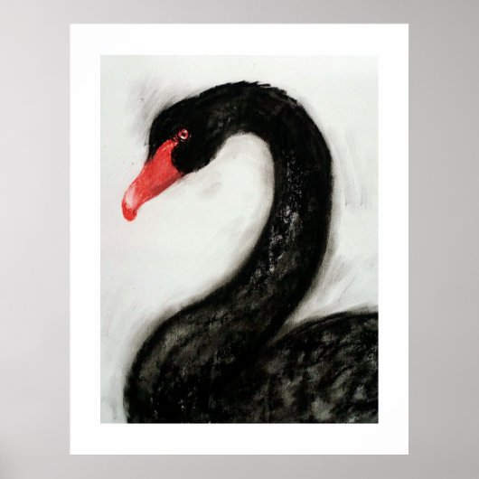 Black Swan Poster (Voorkant)