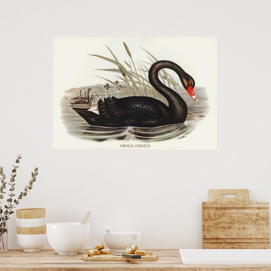 Black Swan  Poster (Keuken)