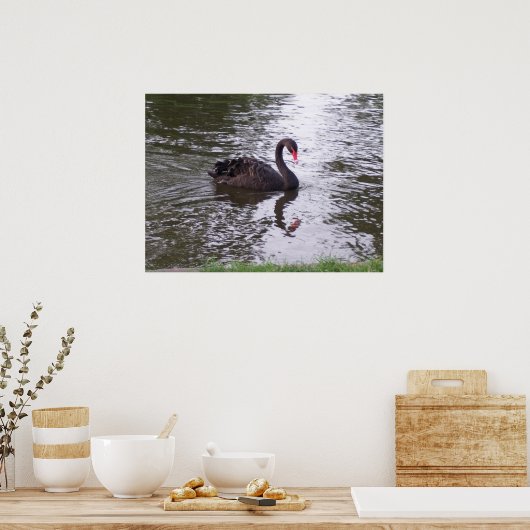 Black Swan Poster (Keuken)